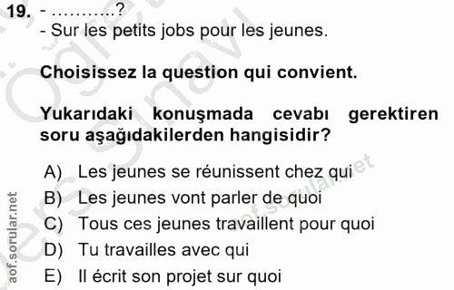 19. soru: - Sur les petits jobs pour les jeunes. Choisissez la question qui convient. Yukarıdaki konuşmada cevabı gerektiren so…