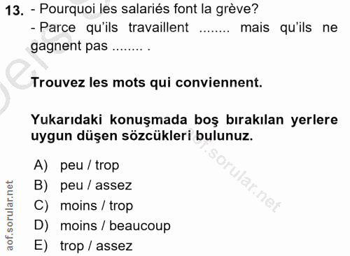 13. soru: - Pourquoi les salariés font la grève? - Parce qu'ils travaillent ....... mais qu'ils ne gagnent pas ......... Trouve…