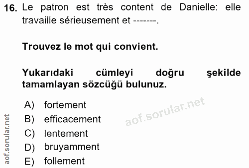 16. soru: Le patron est très content de Danielle: elle travaille sérieusement et -__---. Trouvez le mot qui convient. Yukarıdak…