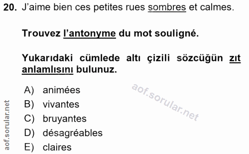 20. soru: J'aime bien ces petites rues sombres et calmes. Trouvez l'antonyme du mot souligné. Yukarıdaki cümlede altı çizili sö…