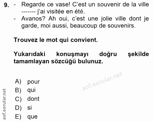 9. soru: - Regarde ce vase! C'est un souvenir de la ville --- j'ai visitée en été. - Avanos? Ah oui, c'est une jolie ville don…