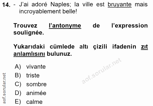 14. soru: - J'ai adoré Naples; la ville est bruyante mais incroyablement belle! Trouvez l'antonyme de l'expression soulignée. Y…
