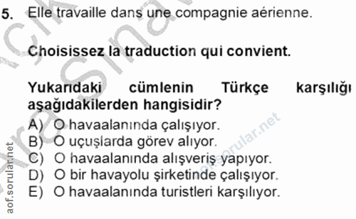 5. soru: Elle travaille dans une compagnie aérienne. Choisissez la traduction qui convient. Yukarıdaki cümlenin Türkçe karşılı…