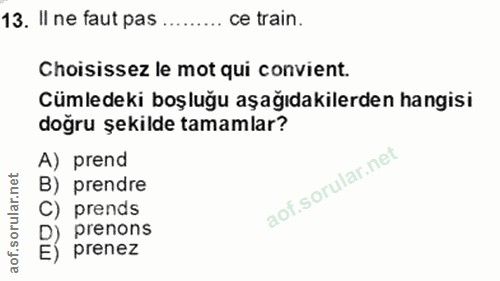 13. soru: II ne faut pas ce train. Choisissez le mot qui convient. Cümledeki boşluğu aşağıdakilerden hangisi doğru şekilde tama…