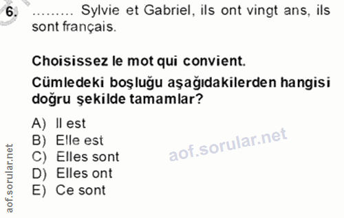 6. soru: Sylvie et Gabriel, ils ont vingt ans, ils sont français. Choisissez le mot qui convient. Cümledeki boşluğu aşağıdakil…