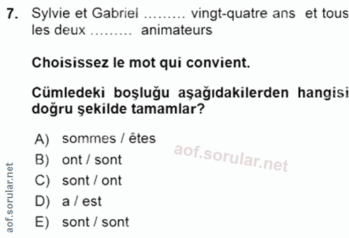 7. soru: Sylvie et Gabriei ......... vingt-quatre ans et tous les deux animateurs Choisissez le mot qui convient. Cümledeki bo…