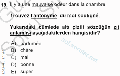 19. soru: Il y a une mauvaise odeur dans la chambre. Trouvez l'antonyme du mot souligné. Yukarıdaki cümlede altı çizili sözcüğü…