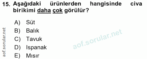 15. soru: Aşağıdaki ürünlerden hangisinde civa birikimi daha çok görülür? A) Süt B) Balık C) Tavuk D) Ispanak E) MIsır