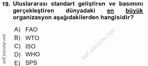 19. soru: Uluslararası standart geliştiren ve basımını gerçekleştiren dünyadaki en büyük organizasyon aşağıdakilerden hangisidi…