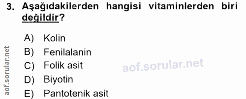 3. soru: Aşağıdakilerden hangisi vitaminlerden biri değildir? A) Kolin B) Fenilalanin C) Folik asit D) Biyotin E) Pantotenik asit