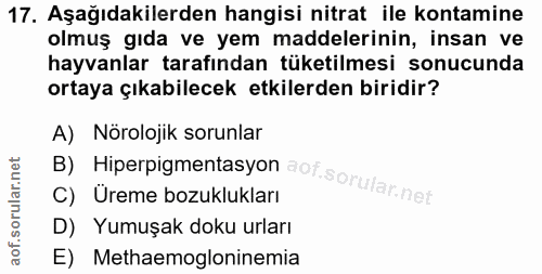 17. soru: Aşağıdakilerden hangisi nitrat ile kontamine olmuş gıda ve yem maddelerinin, insan ve hayvanlar tarafından tüketilmes…