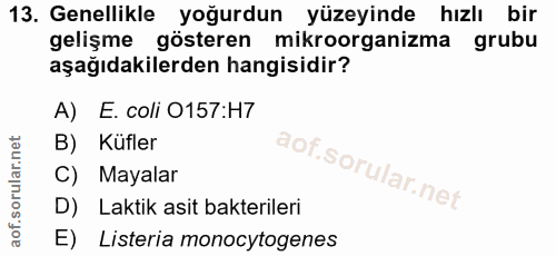 13. soru: Genellikle yoğurdun yüzeyinde hızlı bir gelişme gösteren mikroorganizma grubu aşağıdakilerden hangisidir? A) E. coli…