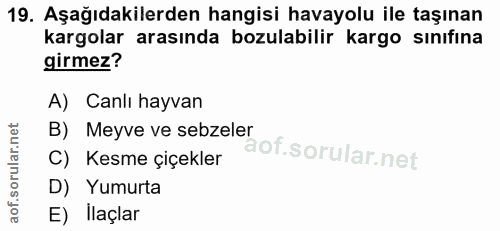 19. soru: Aşağıdakilerden hangisi havayolu ile taşınan kargolar arasında bozulabilir kargo sınıfına girmez? A) Canlı hayvan B)…