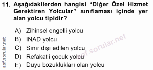 11. soru: Aşağıdakilerden hangisi "Diğer Özel Hizmet Gerektiren Yolcular" sınıflaması içinde yer alan yolcu tipidir? A) Zihinse…