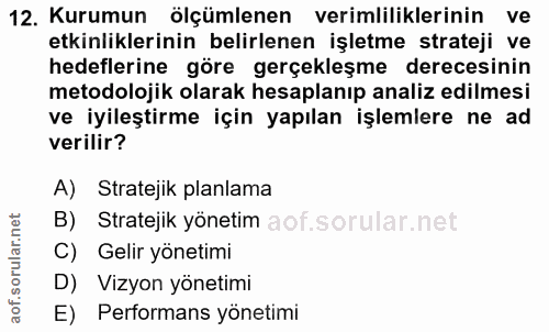 12. soru: Kurumun ölçümlenen verimliliklerinin ve etkinliklerinin belirlenen işletme strateji ve hedeflerine göre gerçekleşme d…