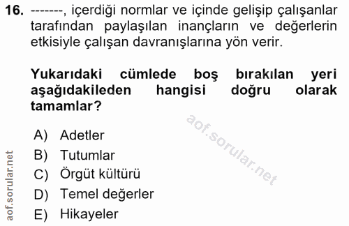 16. soru: —, içerdiği normlar ve içinde gelişip çalışanlar tarafından paylaşılan inançların ve değerlerin etkisiyle çalışan dav…