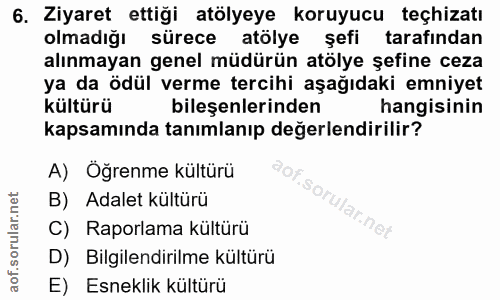 6. soru: Ziyaret ettiği atölyeye koruyucu teçhizatı olmadığı sürece atölye şefi tarafından alınmayan genel müdürün atölye şefi…