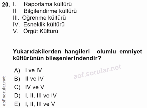 20. soru: 1. •Raporlama kültürü ll. Bilgilendirme kültürü III. Öğrenme kültürü IV. Esneklik kültürü V. Örgüt Kültürü Yukarıdaki…