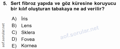 5. soru: Sert fibroz yapıda ve göz küresine koruyucu bir kılıf oluşturan tabakaya ne ad verilir? A) Iris B) Lens C) Sklera D)…