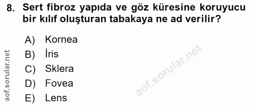 8. soru: Sert fibroz yapıda ve göz küresine koruyucu bir kılıf oluşturan tabakaya ne ad verilir? A) Kornea B) Iris .sorular.ne…
