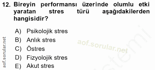 12. soru: Bireyin performansı üzerinde olumlu etki yaratan stres türü aşağıdakilerden hangisidir? A) Psikolojik stres B) Anlık…