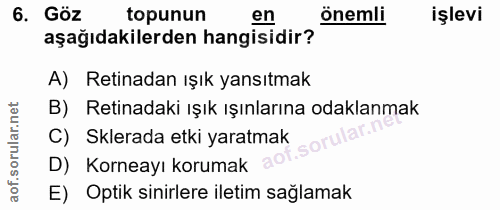 6. soru: Göz topunun en önemli işlevi aşağıdakilerden hangisidir? A) Retinadan ışık yansıtmak B) Retinadaki ışık ışınlarına od…