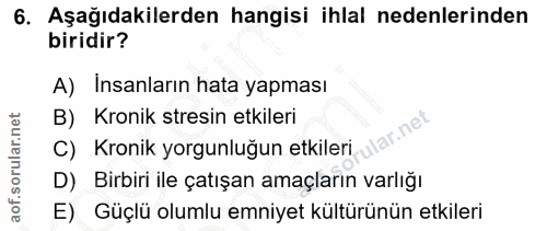6. soru: Aşağıdakilerden hangisi ihlal nedenlerinden biridir? A) Insanların hata yapması B) Kronik stresin etkileri rular.net…