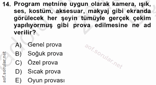 14. soru: Program metnine uygun olarak kamera, ışık, ses, kostüm, aksesuar, makyaj gibi ekranda görülecek her şeyin tümüyle ger…