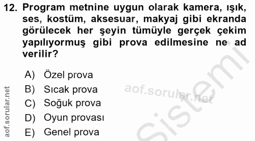 12. soru: Program metnine uygun olarak kamera, ışık, ses, kostüm, aksesuar, makyaj gibi ekranda görülecek her şeyin tümüyle ger…