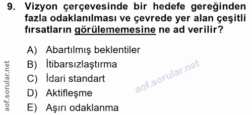 9. soru: Vizyon çerçevesinde bir hedefe gereğinden fazla odaklanılması ve çevrede yer alan çeşitli fırsatların görülememesine…