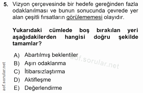5. soru: Vizyon çerçevesinde bir hedefe gereğinden fazla odaklanılması ve bunun sonucunda çevrede yer alan çeşitli fırsatların…