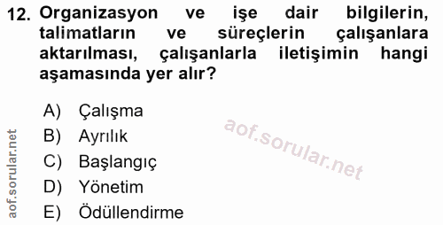 12. soru: Organizasyon ve işe dair bilgilerin, talimatların ve süreçlerin çalışanlara aktarılması, çalışanlarla iletişimin hang…