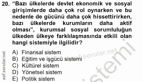 20. soru: "Bazı ülkelerde devlet ekonomik ve sosyal girişimlerde daha çok rol oynarken ve bu nedenle de gücünü daha çok hissett…