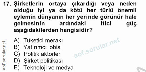 17. soru: Şirketlerin ortaya çıkardığı veya neden olduğu iyi ya da kötü her türlü önemli eylemin dünyanın her yerinde görünür h…