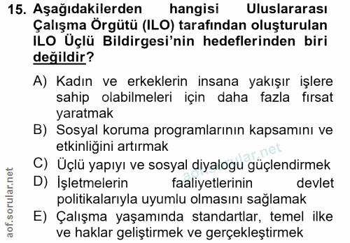 15. soru: Aşağıdakilerden hangisi Uluslararası Çalışma Örgütü (ILO) tarafından oluşturulan ILO Üçlü Bildirgesi'nin hedeflerinde…