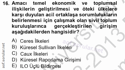 16. soru: Amacı temel ekonomik ve toplumsal ilişkilerin geliştirilmesi ve öteki ülkelere karşı duyulan acil ortaklaşa sorumlulu…