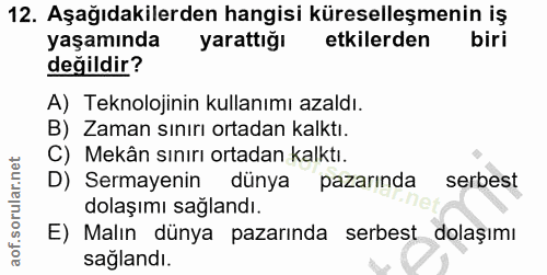 12. soru: Aşağıdakilerden hangisi küreselleşmenin iş yaşamında yarattığı etkilerden biri değildir? A) Teknolojinin kullanımı az…