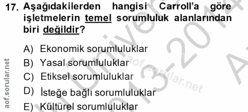 17. soru: Aşağıdakilerden hangisi Carroll'a göre işletmelerin temel sorumluluk alanlarından biri değildir? A) Ekonomik sorumlul…