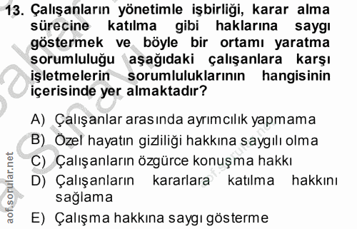 13. soru: Çalışanların yönetimle işbirliği, karar alma sürecine katılma gibi haklarına saygı göstermek ve böyle bir ortamı yara…