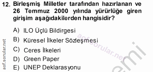 12. soru: Birleşmiş Milletler tarafından hazırlanan ve 26 Temmuz 2000 yılında yürürlüğe giren girişim aşağıdakilerden hangisidi…