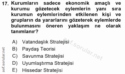 17. soru: Kurumların sadece ekonomik amaçlı ve kurumu gözetecek eylemlerin yanı Sıra kurumun eylemlerinden etkilenen kişi ve gr…