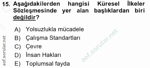 15. soru: Aşağıdakilerden hangisi Küresel ilkeler Sözleşmesinde yer alan başlıklardan biri değildir? A) Yolsuzlukla mücadele B)…