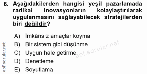6. soru: Aşağıdakilerden hangisi yeşil pazarlamada radikal inovasyonların kolaylaştırılarak uygulanmasını sağlayabilecek strat…