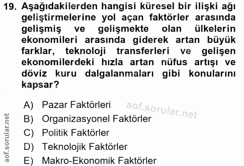 19. soru: Aşağıdakilerden hangisi küresel bir ilişki ağı geliştirmelerine yol açan faktörler arasında gelişmiş ve gelişmekte ol…