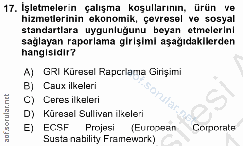 17. soru: Işletmelerin çalışma koşullarının, ürün ve hizmetlerinin ekonomik, çevresel ve sosyal standartlara uygunluğunu beyan…