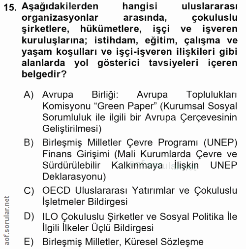 15. soru: Aşağıdakilerden hangisi uluslararası organizasyonlar arasında, çokuluslu şirketlere, hükümetlere, işçi ve işveren kur…
