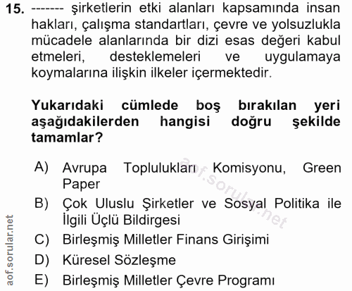 15. soru: --- şirketlerin etki alanları kapsamında insan hakları, çalışma standartları, çevre ve yolsuzlukla mücadele alanların…