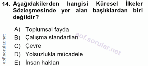 14. soru: Aşağıdakilerden hangisi Küresel ilkeler Sözleşmesinde yer alan başlıklardan biri değildir? By Çalışma standartlariOf.…