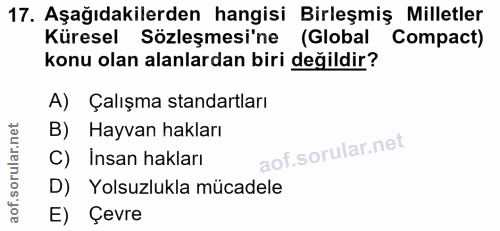 17. soru: Aşağıdakilerden hangisi Birleşmiş Milletler Küresel Sözleşmesi'ne (Global Compact) konu olan alanlardan biri değildir…