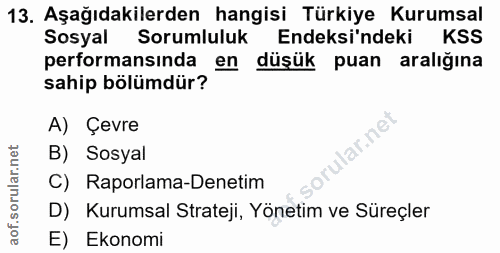 13. soru: Aşağıdakilerden hangisi Türkiye Kurumsal Sosyal Sorumluluk Endeksi'ndeki KSS performansında en düşük puan aralığına s…
